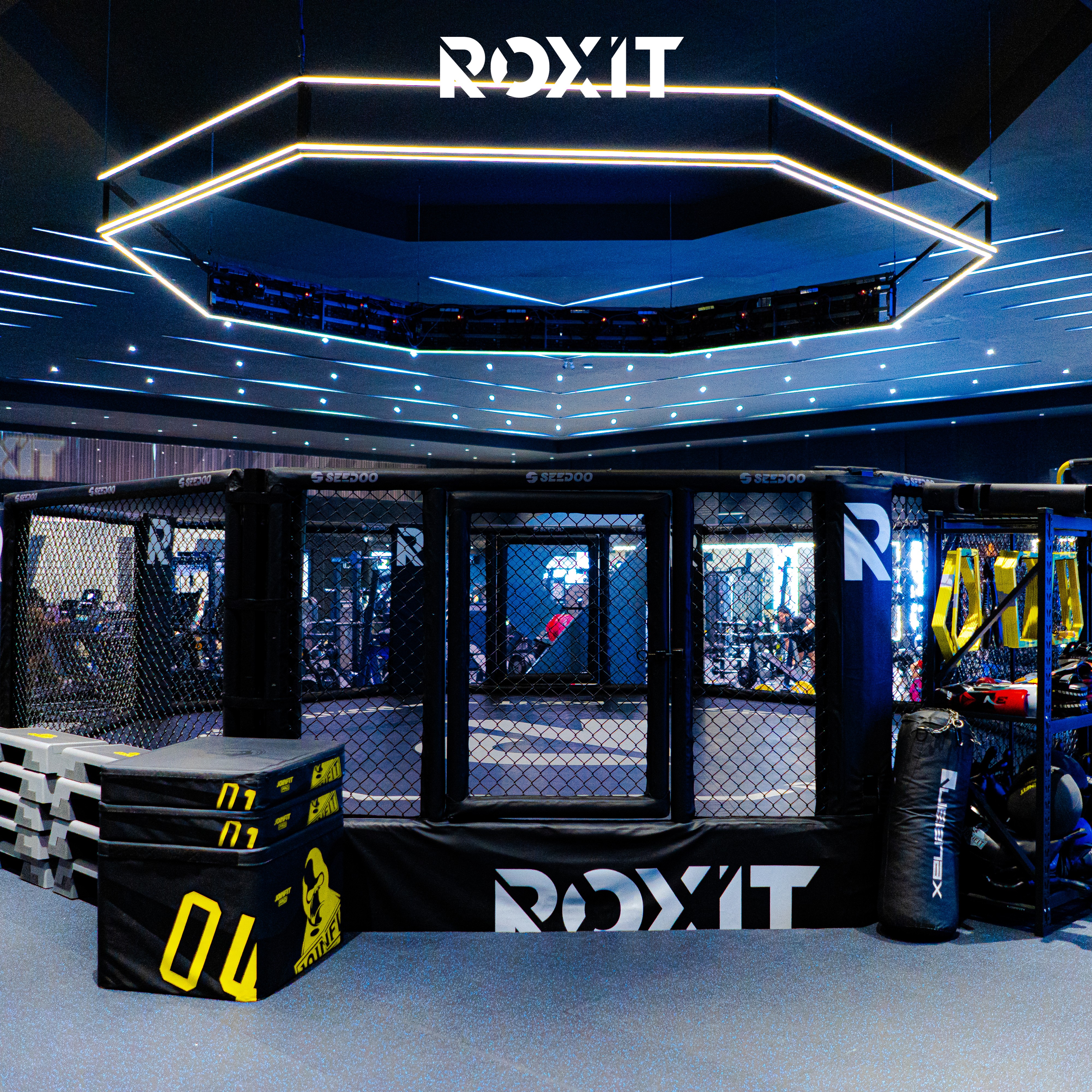 Octagon